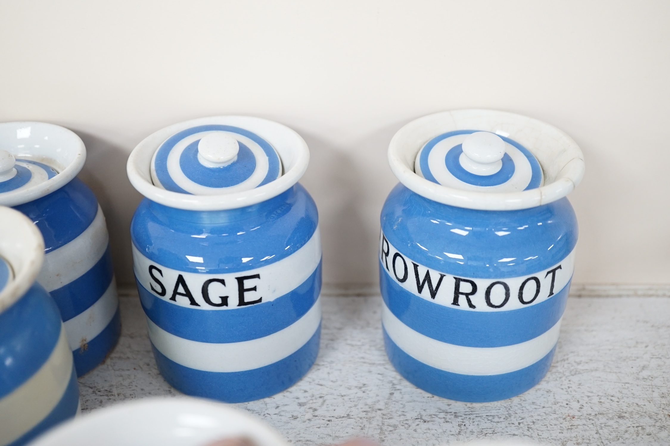 T.G.Green Cornish Kitchenware, eighteen 8.5cm lidded storage jars to include Curry Powder, Baking Soda, Candied Peel, Chillies, Pimento and Arrowroot, mixed marks. Condition - poor, fair and good